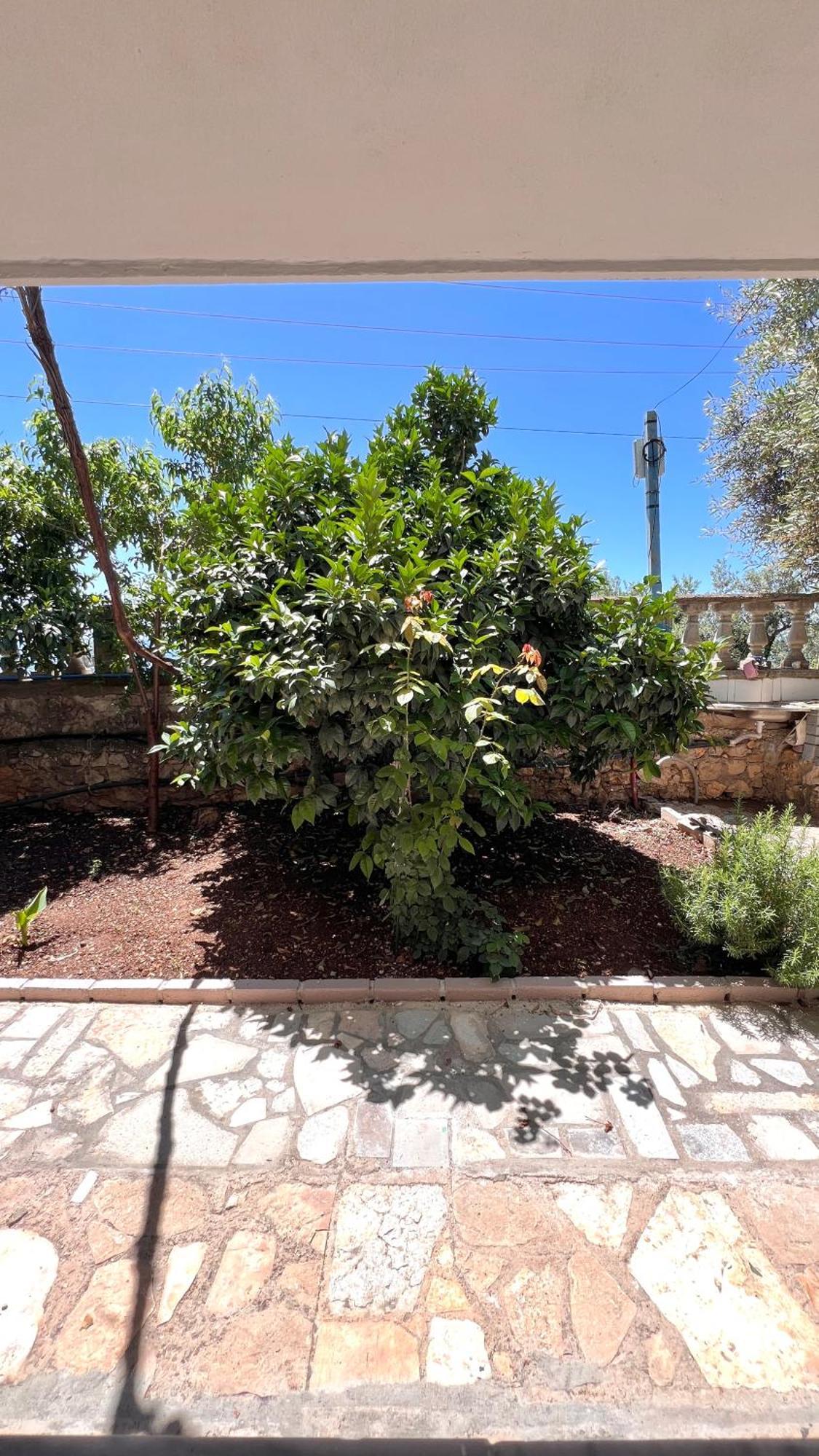 Apartment Petra Oliva Dhermi